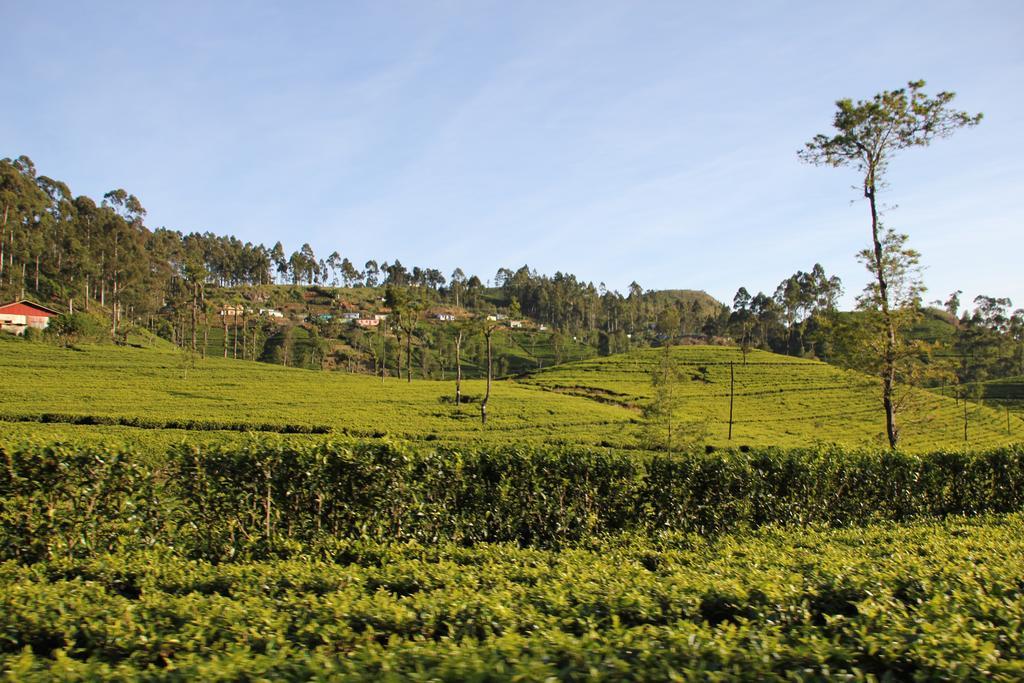 White Home Haputale Exterior photo